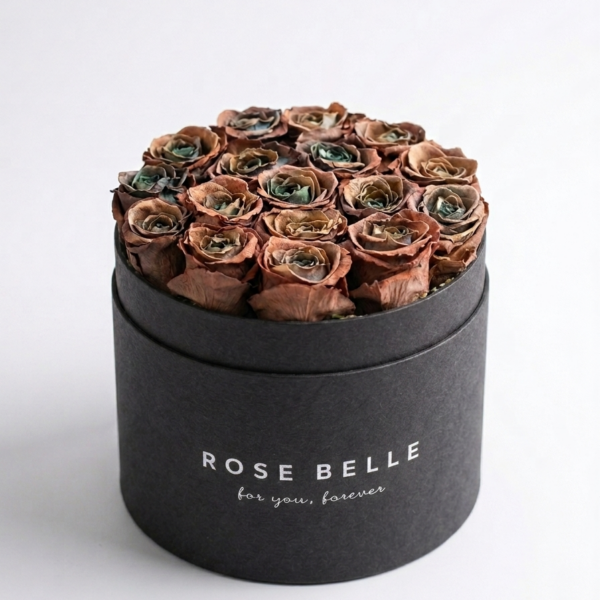 Rose Belle Box XL staro-hnědá růže