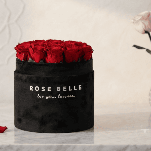 Rose Belle M sametový černý