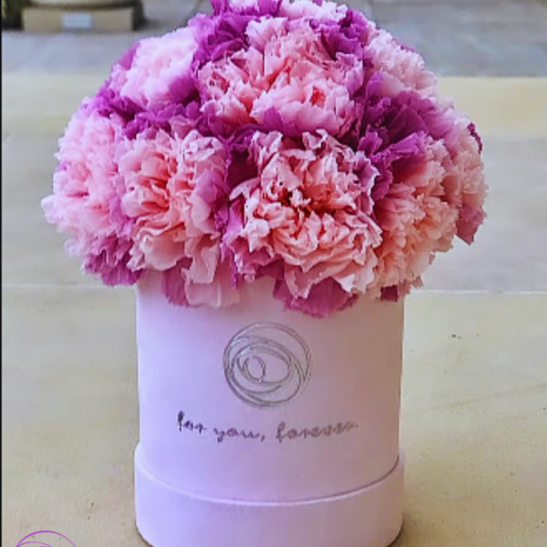 Rose Belle Box DeLux sametový s karafiáty